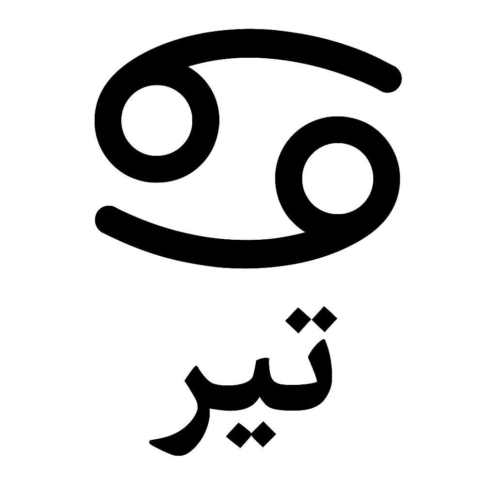تیر